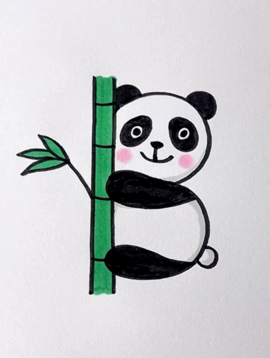 大熊猫的简笔画彩色图片