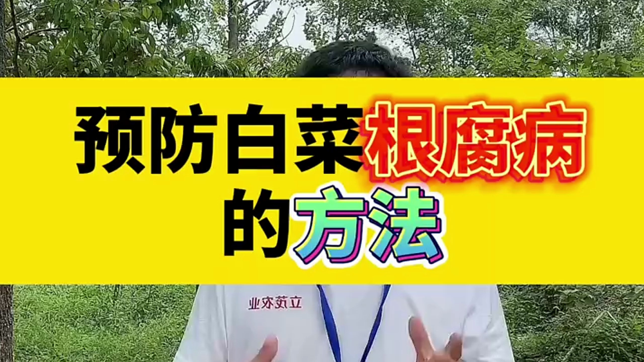 预防白菜软腐病的方法,白菜软腐病防治配方
