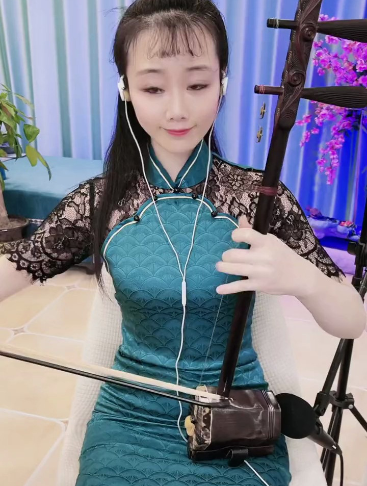 二胡演奏《上海滩》