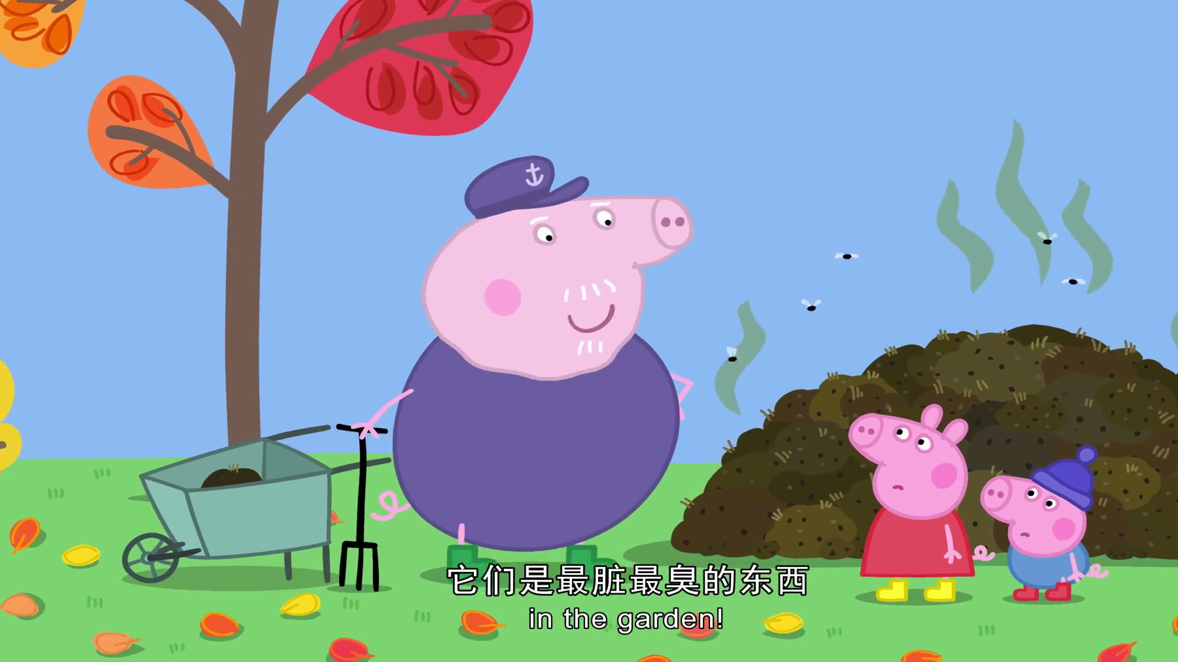 小猪佩奇:佩奇和乔治去猪爷爷的菜地里完,下一秒惨喽
