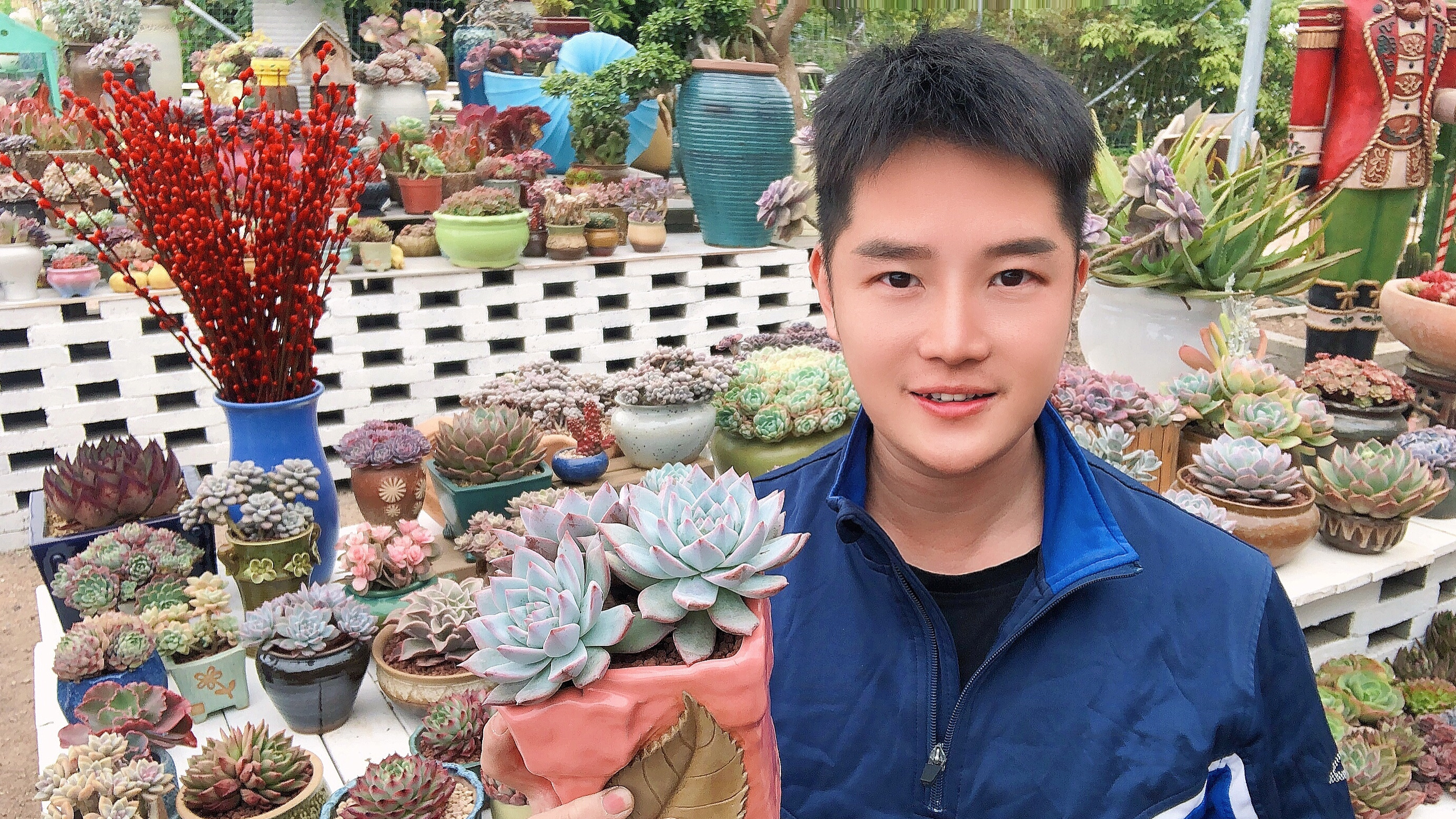 为了养好多肉植物,你做过哪些疯狂举动?换住处还是买新房?