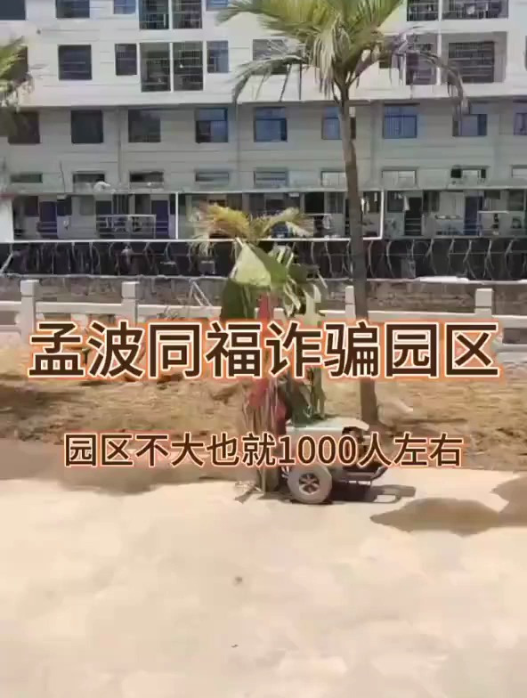 孟波同福诈骗园区曝光,园区不大也能融纳1000多人