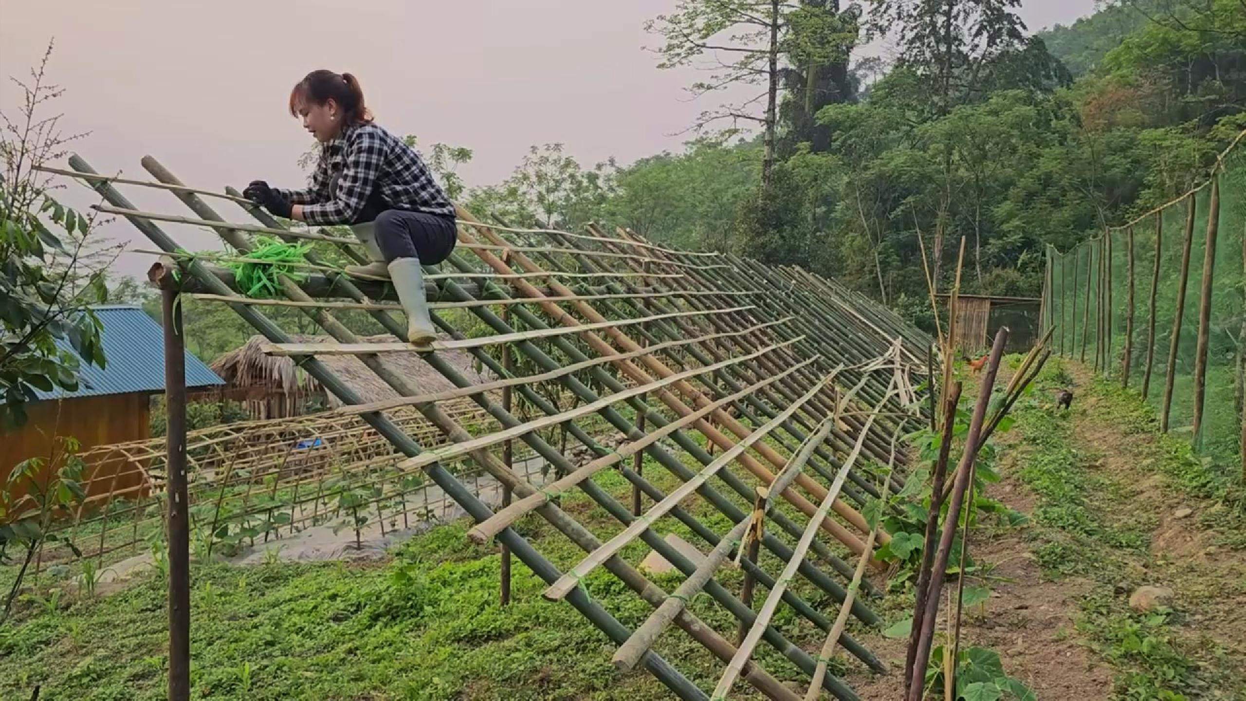 菜园棚架工程详解!不会这技能,还玩什么田园呢?