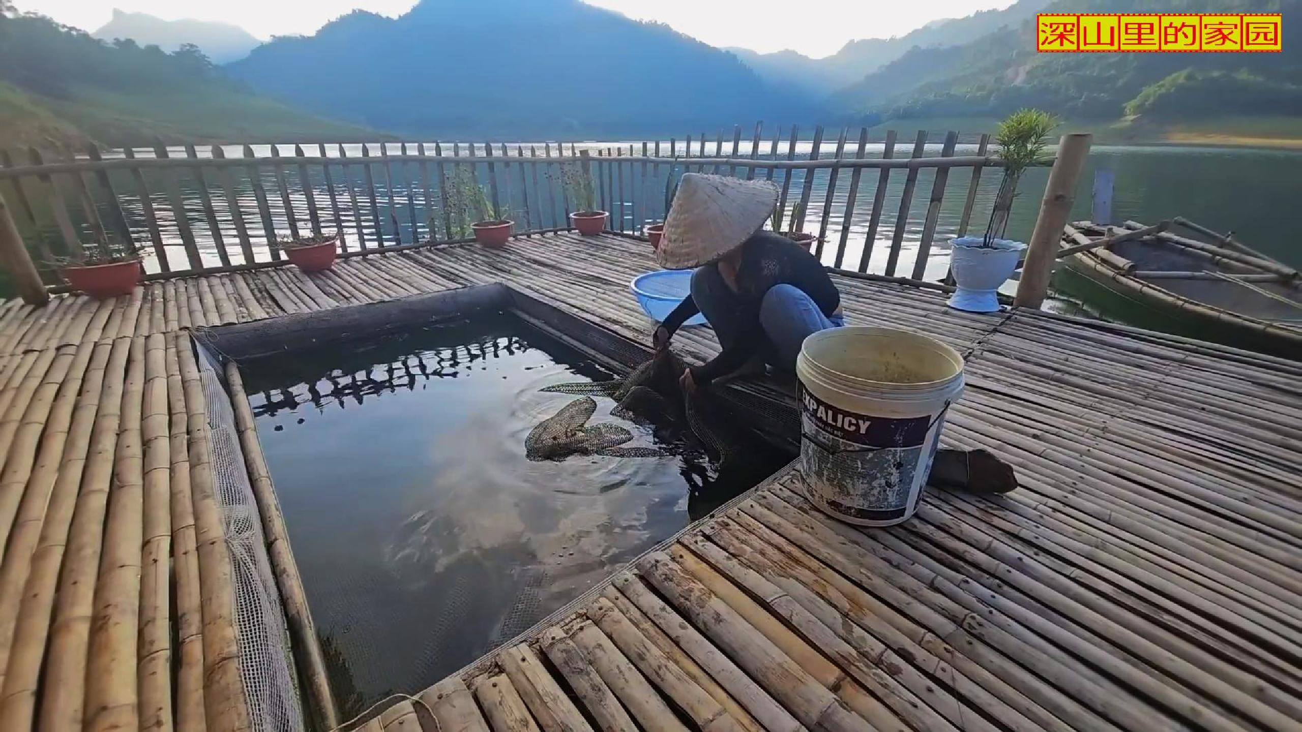 做一把鱼竿,下湖去钓肉食鱼!这一晚会有收获吗?