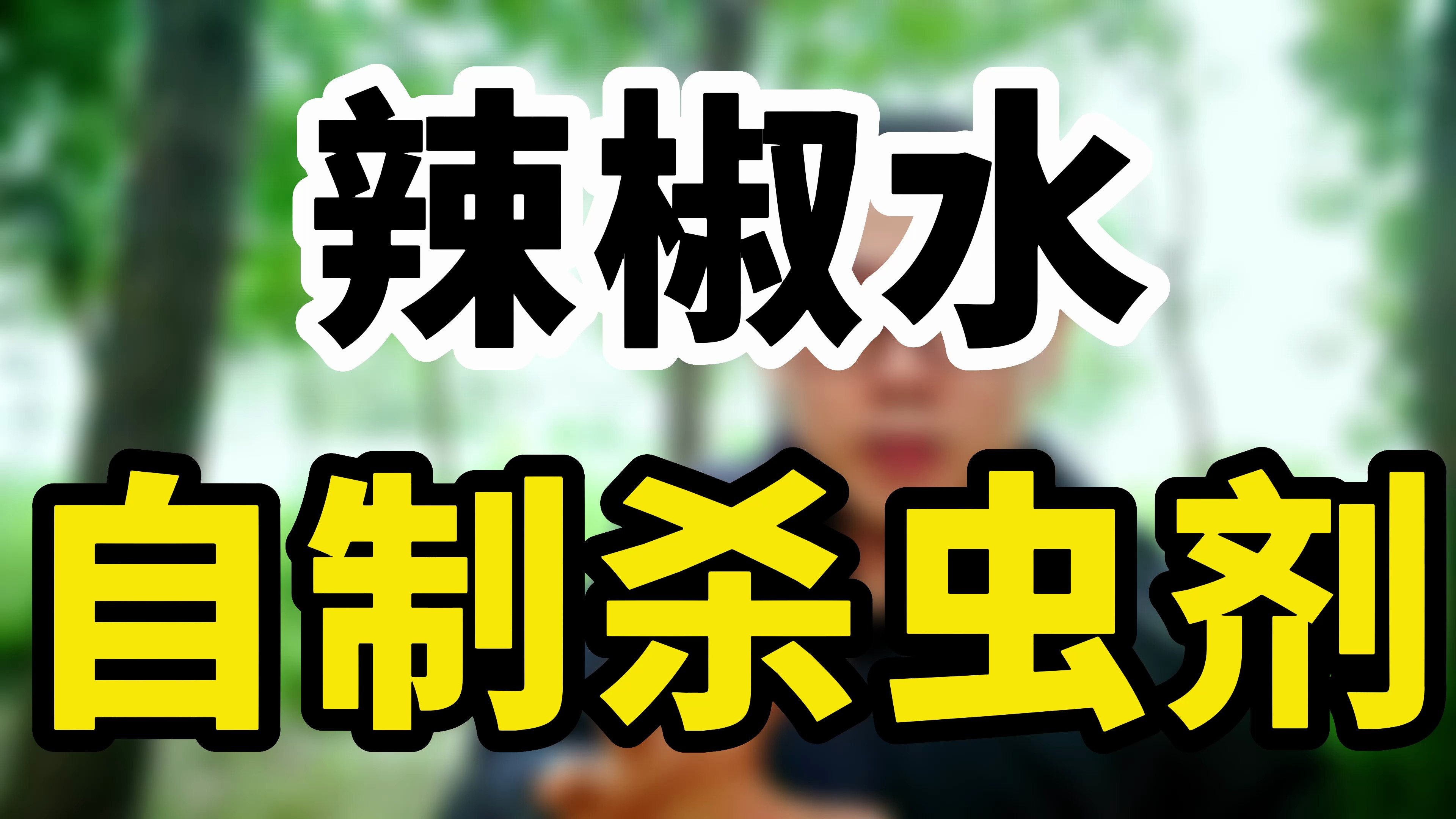 辣椒水自制杀虫剂