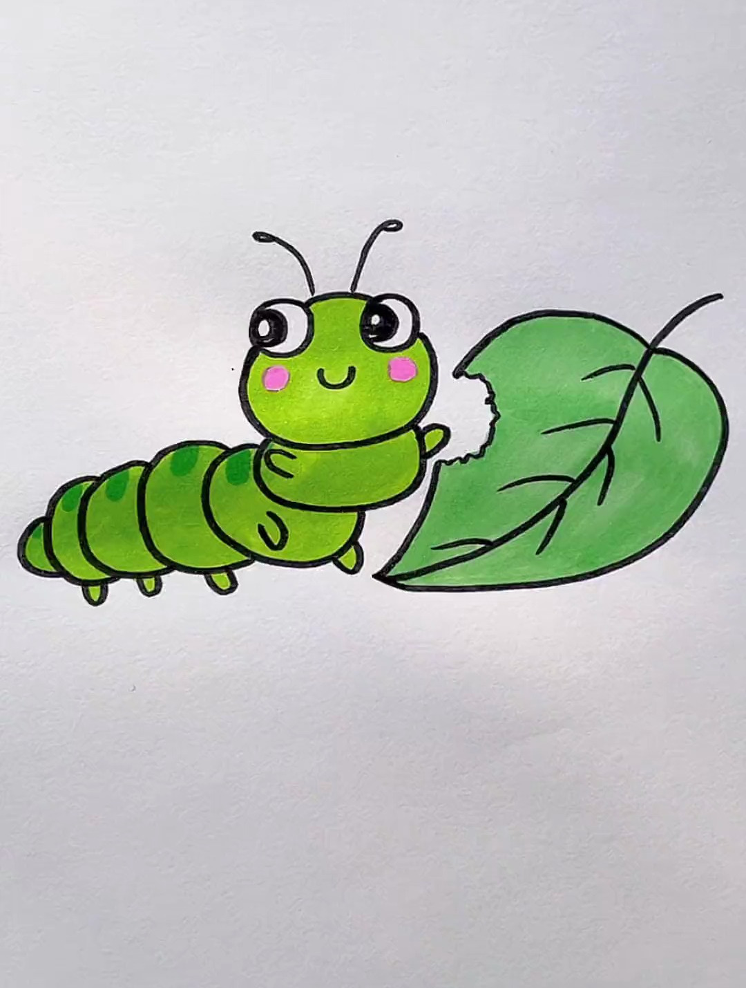可爱的小青虫 育儿简笔画