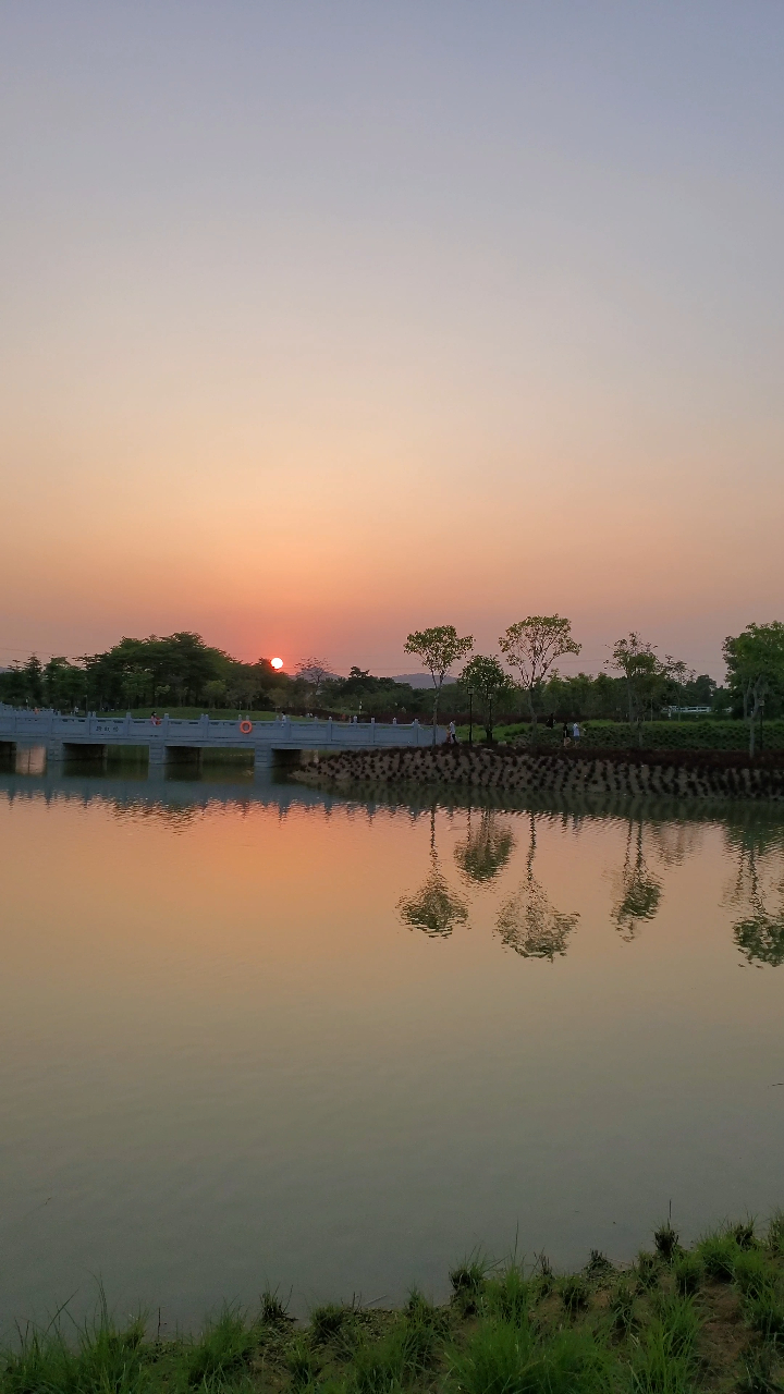 石岩湿地图片