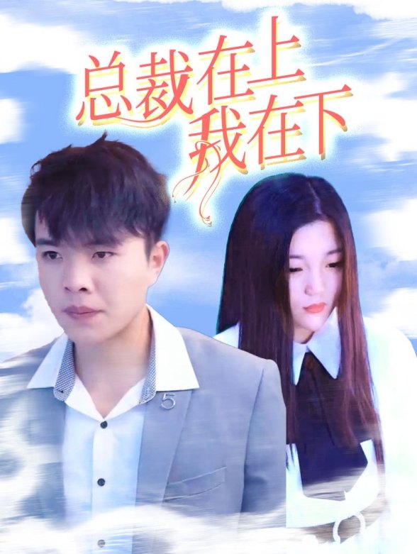 总裁在上我在下封面图