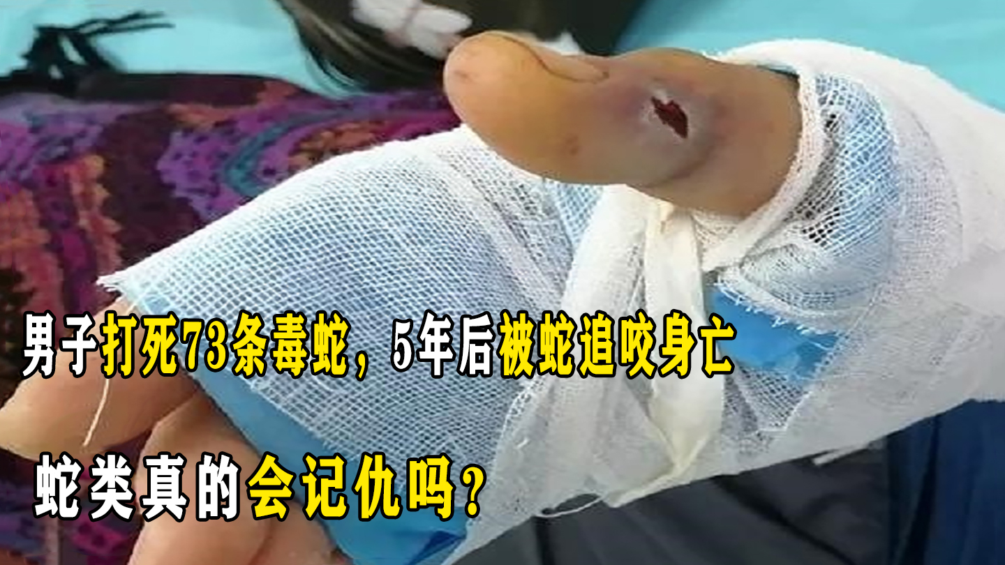 男子打死73条毒蛇,5年后被蛇咬9口身亡,蛇类真的会记仇吗?
