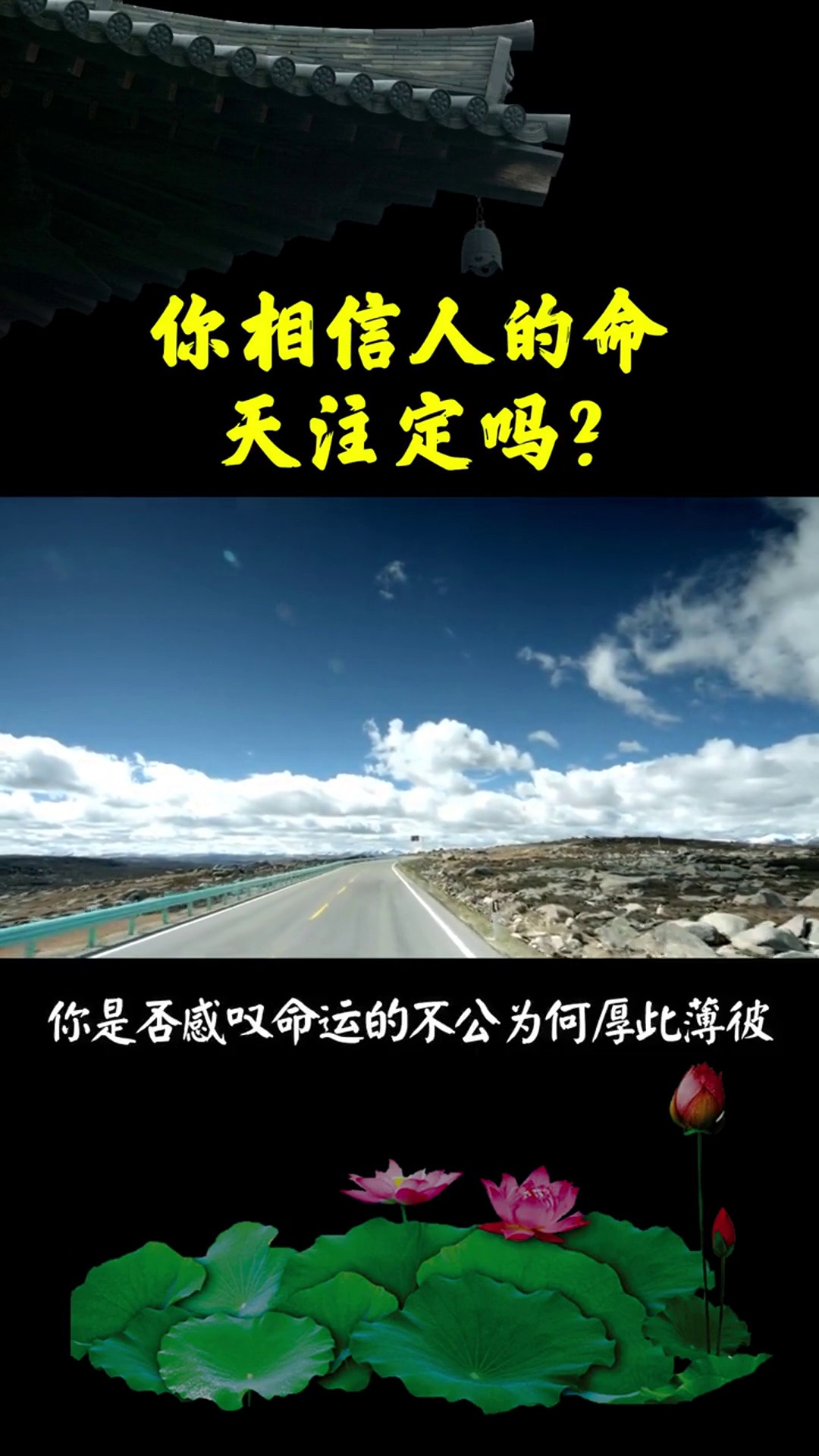 你相信人的命天注定吗?国学 传统文化 了凡四训 命运