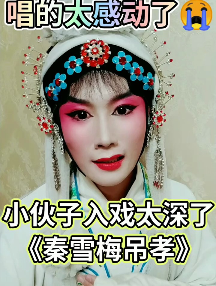 豫剧《秦雪梅吊孝》下 扶灵柩心如刀绞