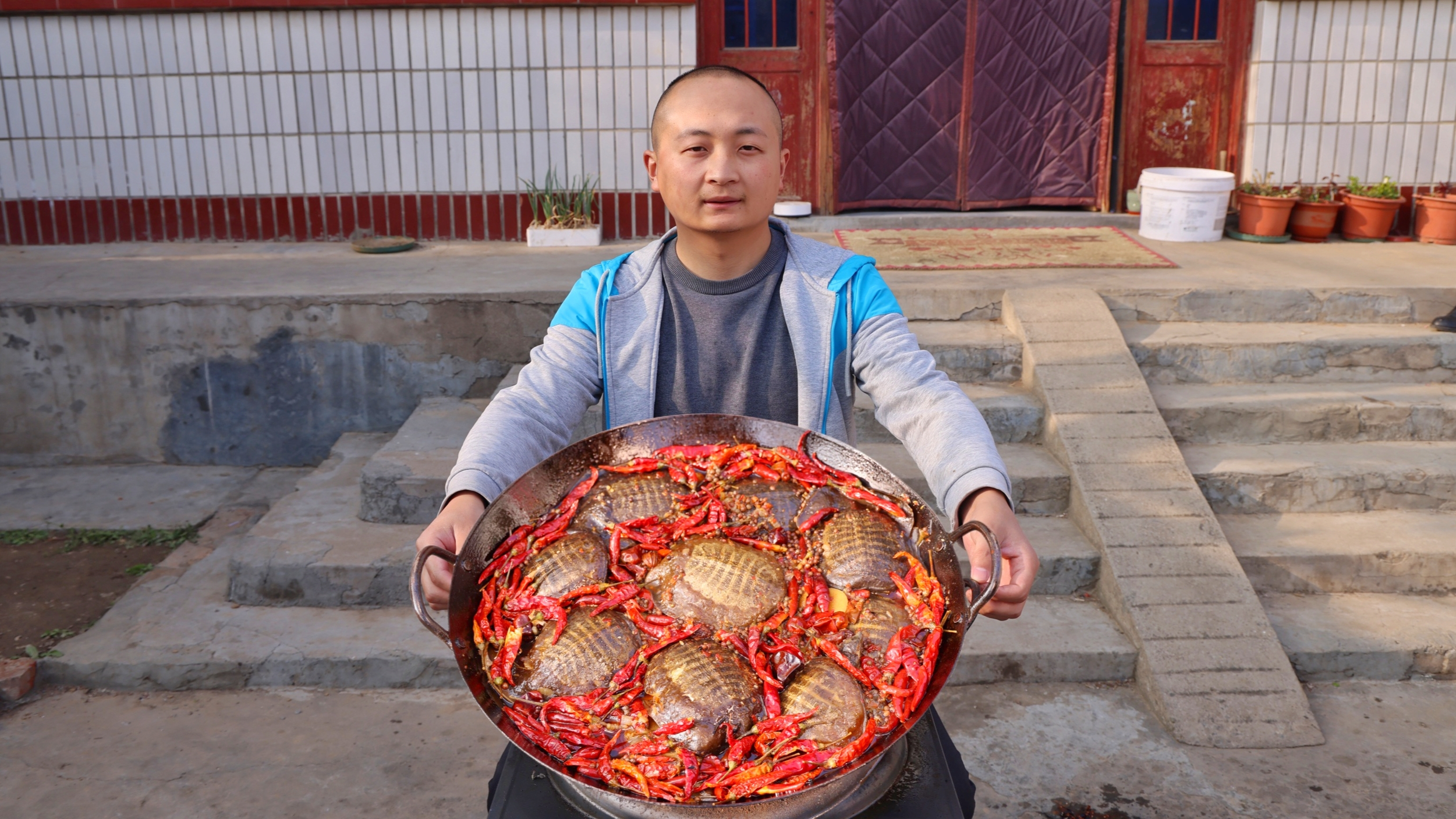 470买一盆甲鱼，大冬做网红美食“麻辣小甲鱼”，骨头都嗦干净了