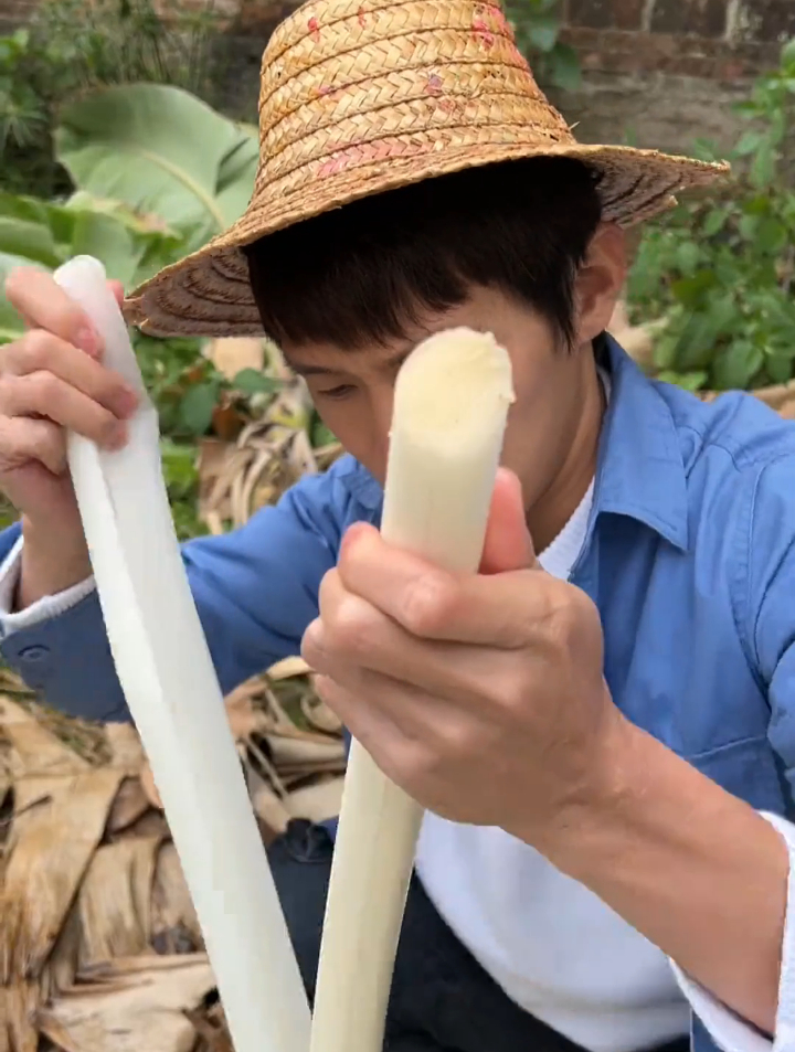 芭蕉树心这样子做,你吃过吗-度小视