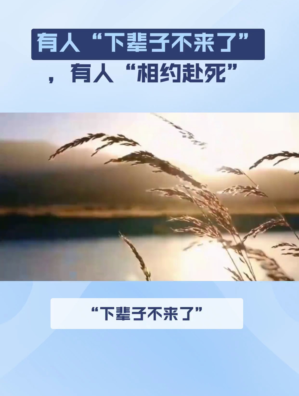 有人"下辈子不来了",有人"相约赴死",这是出了什么问题?