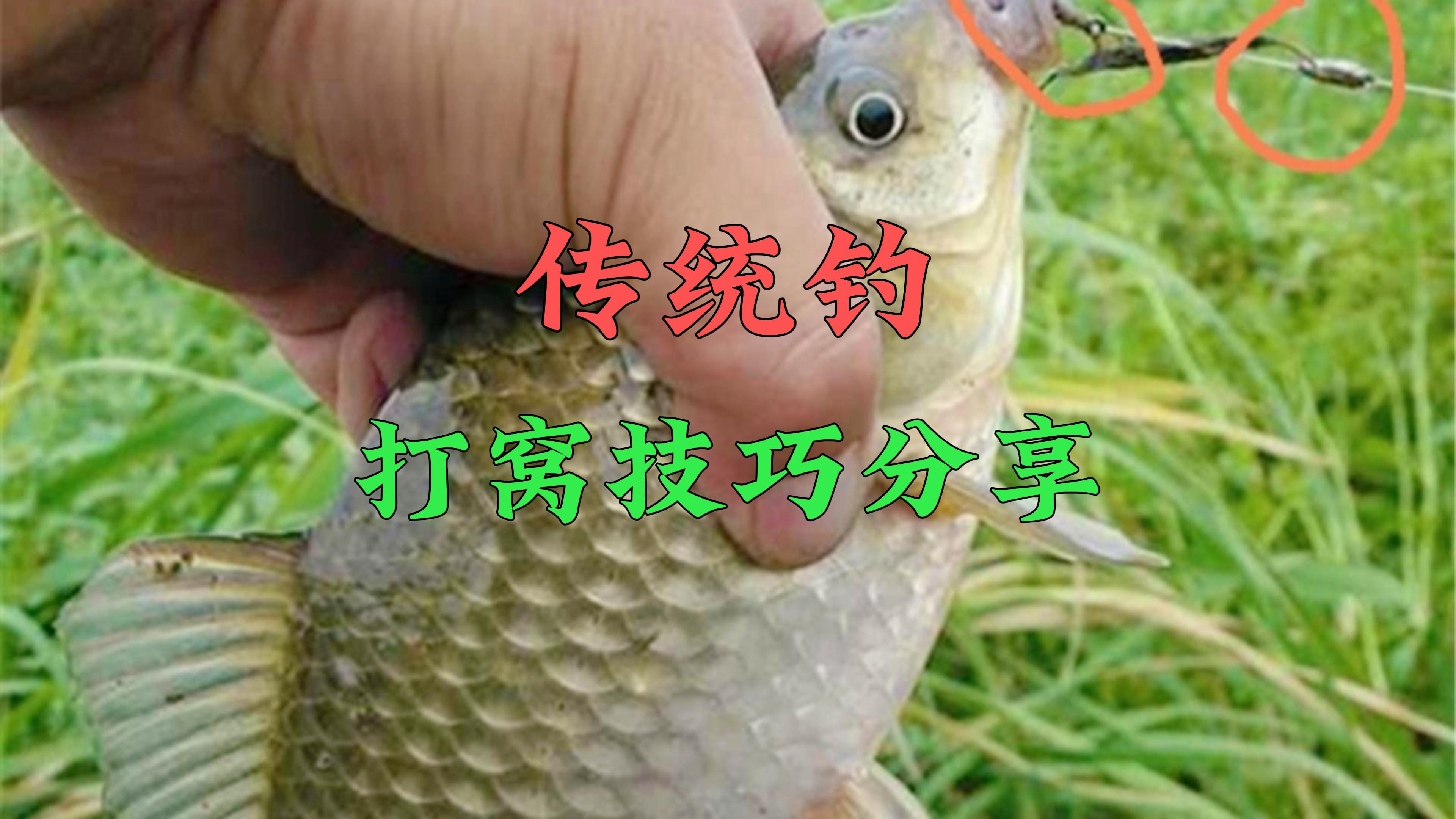 冬季传统钓打窝技巧,很简单的五个步骤,却又不像想的那么简单