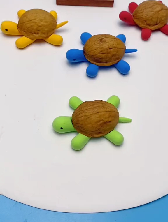 核桃壳做手工制作乌龟图片