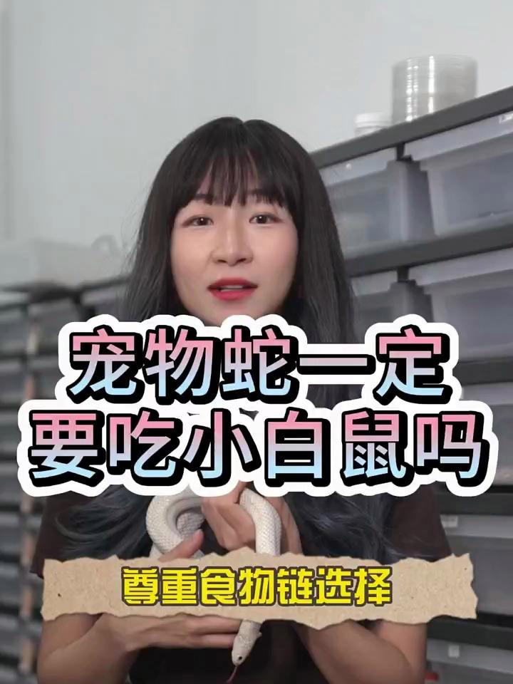 宠物蛇一定要喂小老鼠吗?喂其它的行不行……