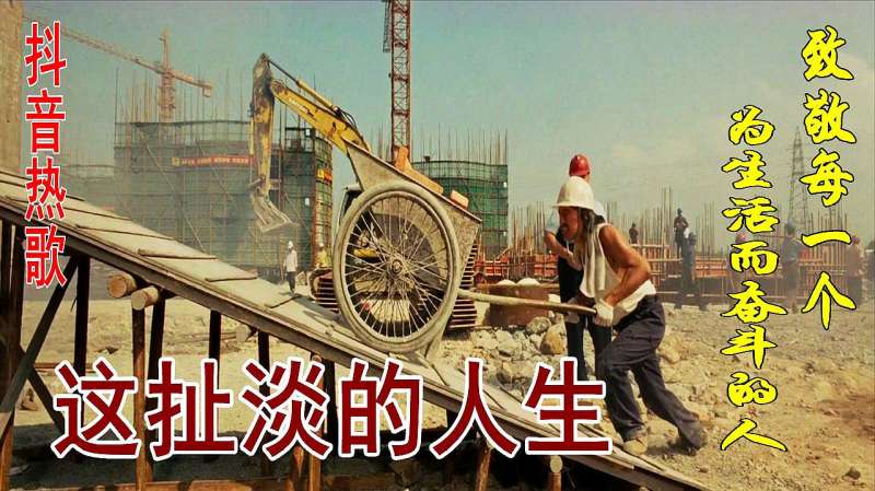 抖音最火的歌曲这扯淡的人生每个人的一生都有不平凡的故事