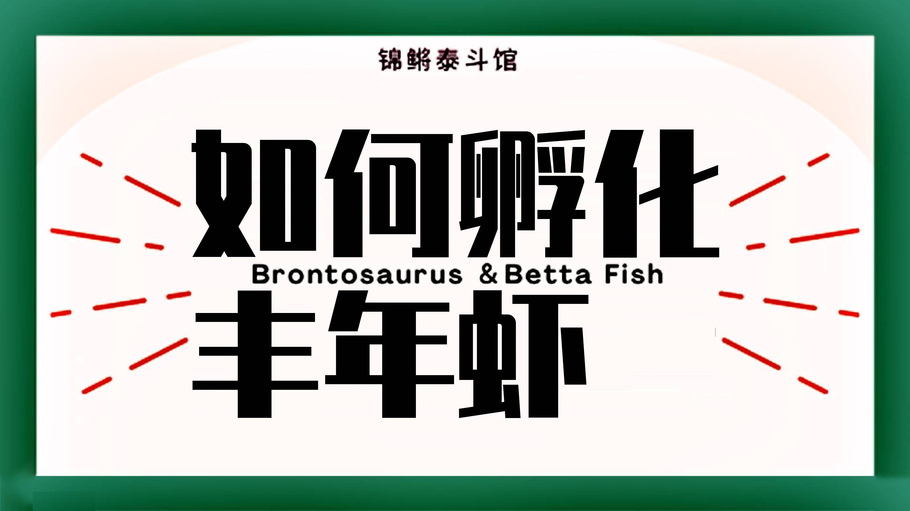 天天教大家培养鱼虫,还有不会孵丰年虾今天教大家如何孵化丰年虾