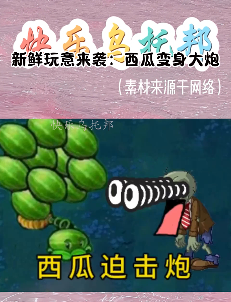 新鲜玩意来袭:西瓜变身大炮