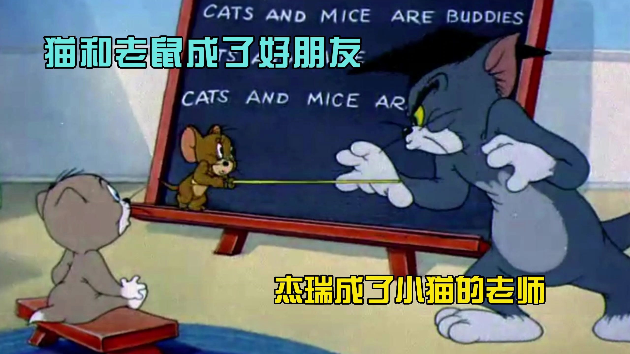 猫和老鼠:杰瑞鼠成了小猫的老师,汤姆猫还是没抓到老鼠