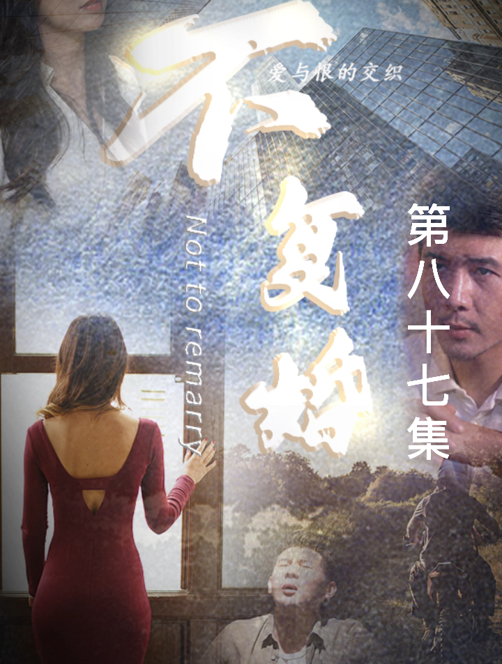 金牌律师(不复婚) 87