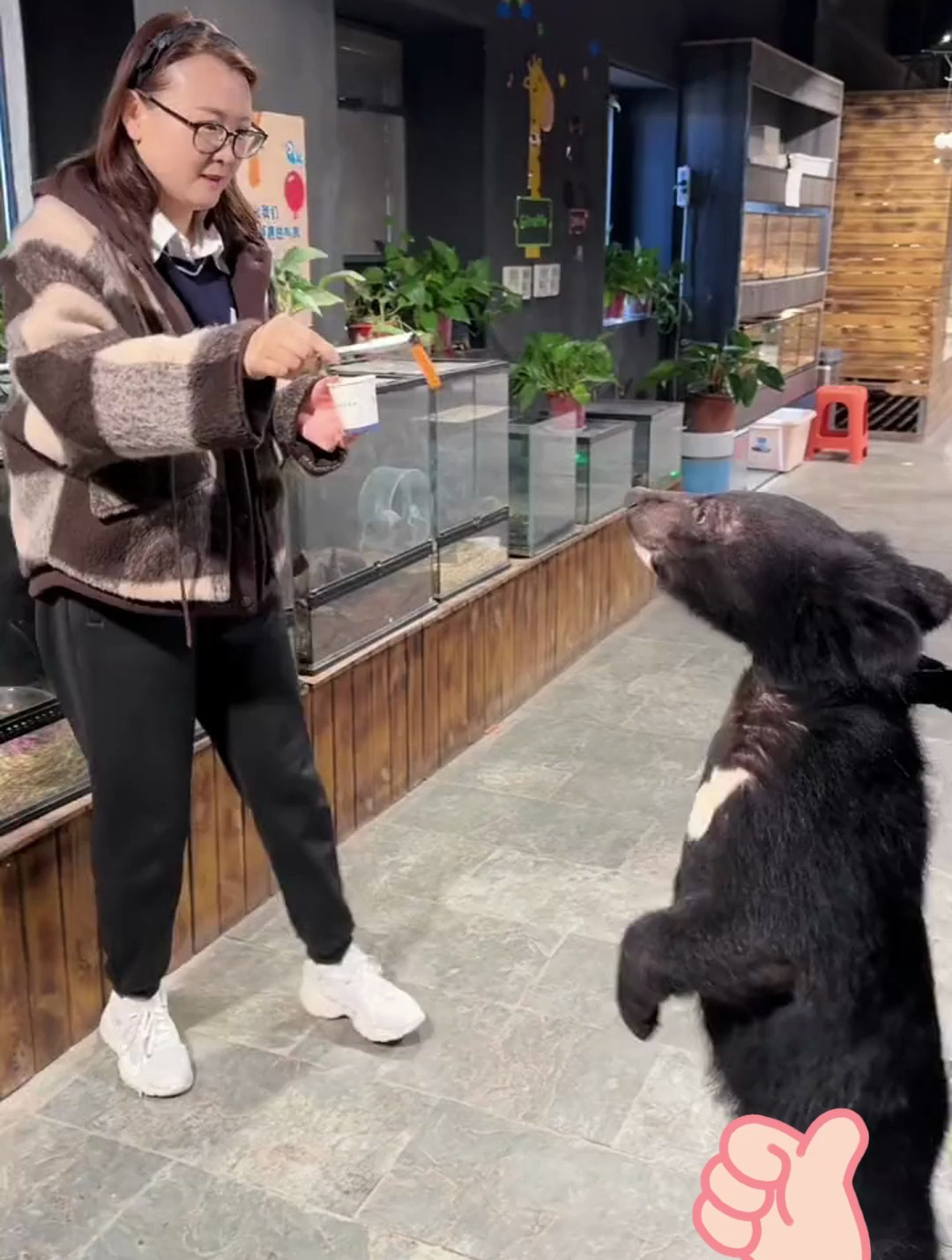 冬天溜娃的好地方,快来卡尔萌宠乐园吧