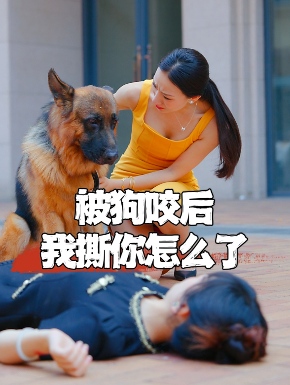 被狗咬后我撕你怎么了