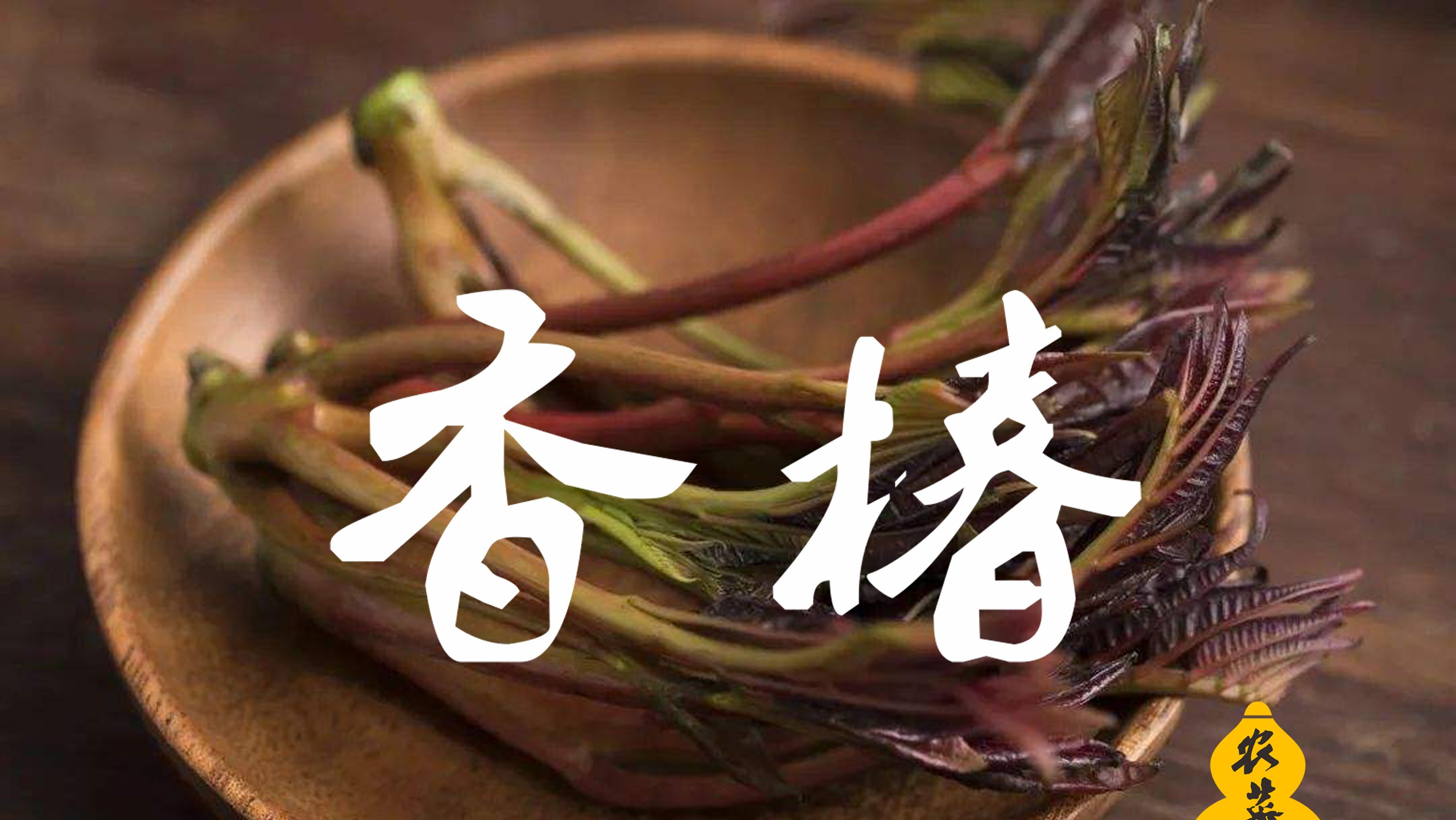 传统农家美食“香椿”