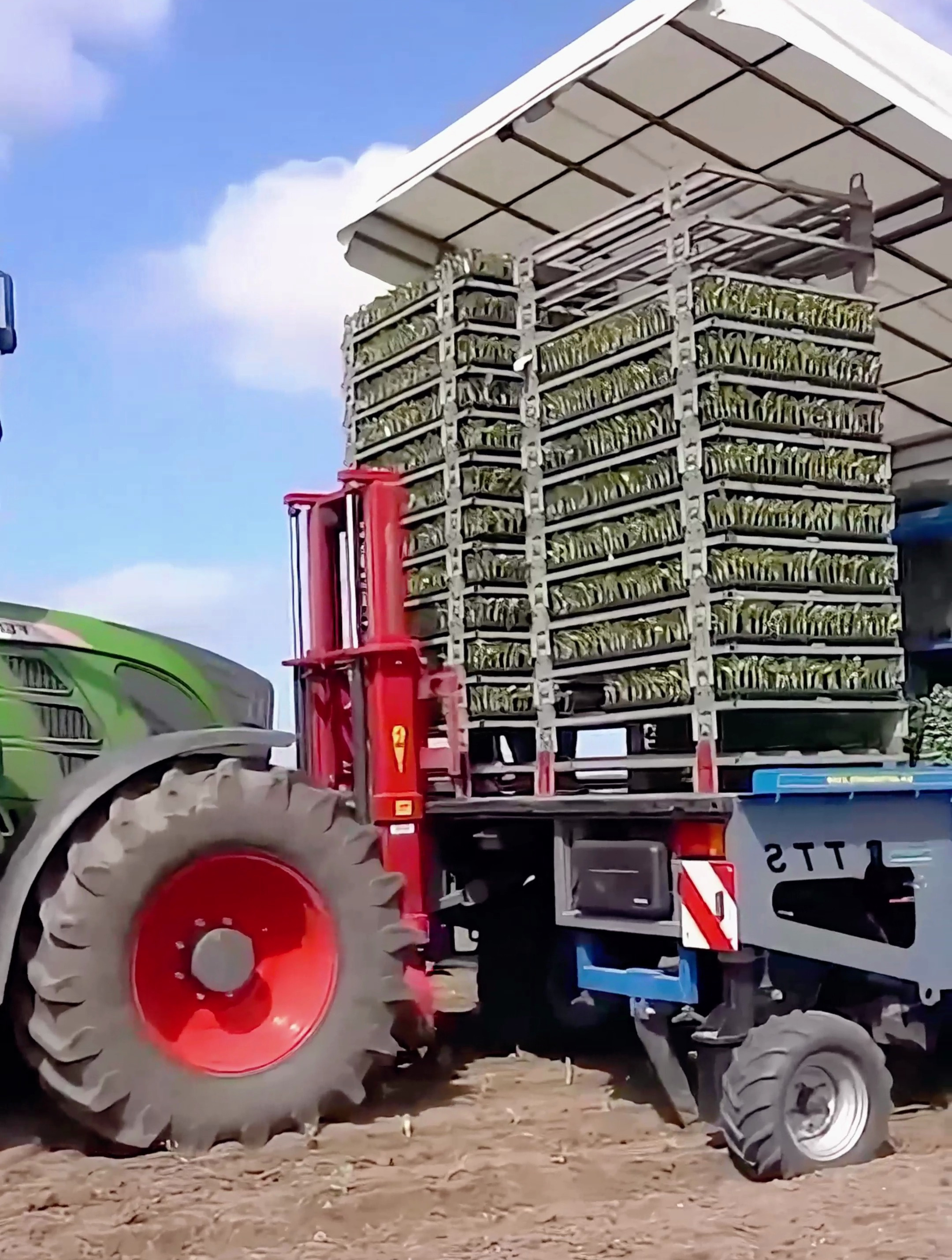 一台移栽机,相当于一百人工,这就是科技的力量!