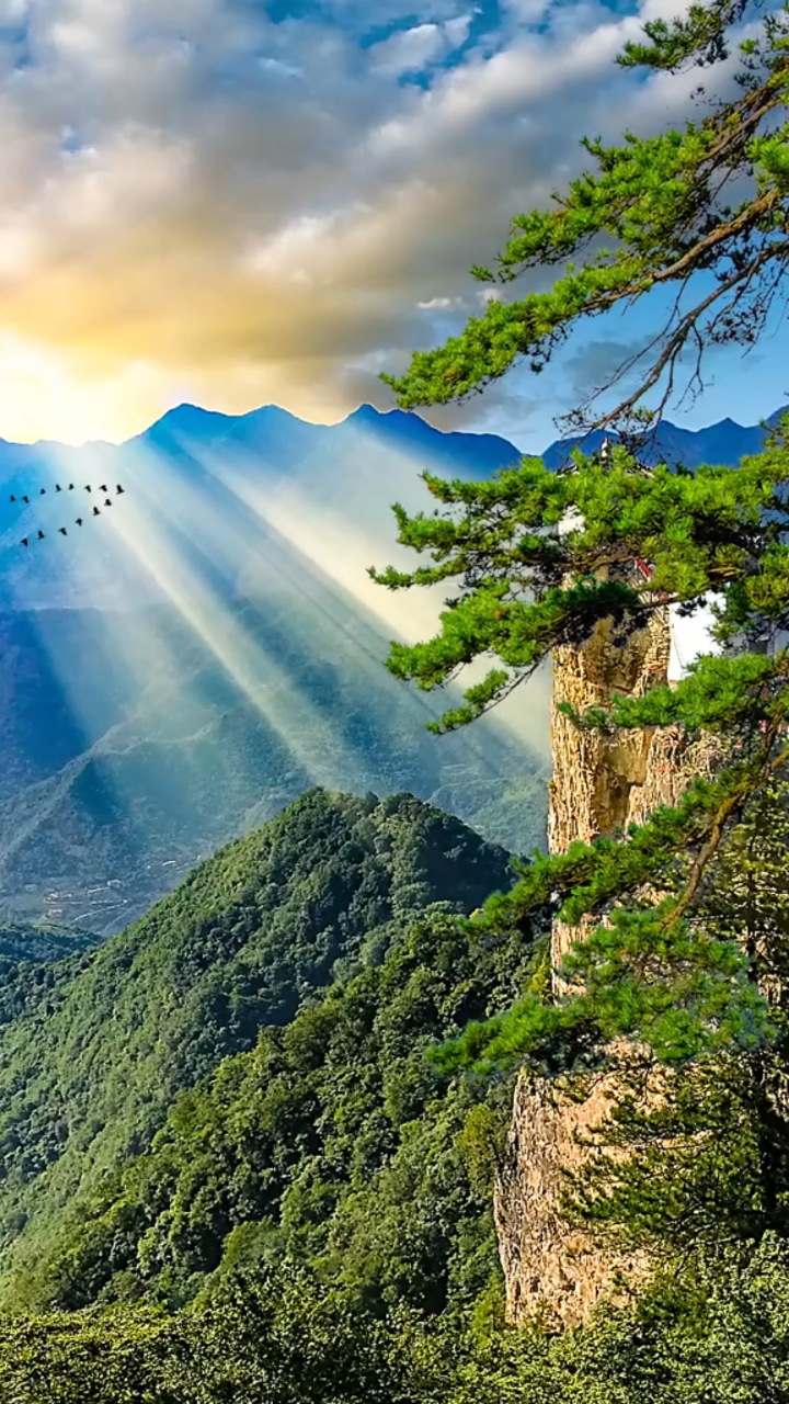 从前有座山山里有个庙庙里有个老和尚在讲故事讲的什么呀