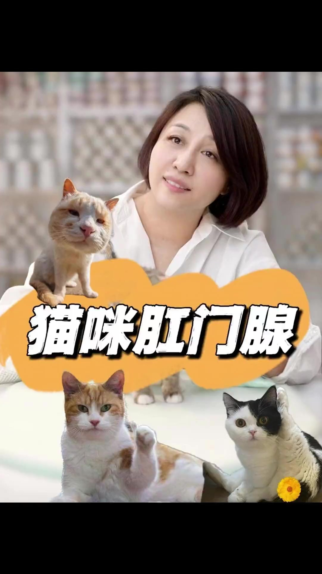 猫咪肛门腺怎么挤图片