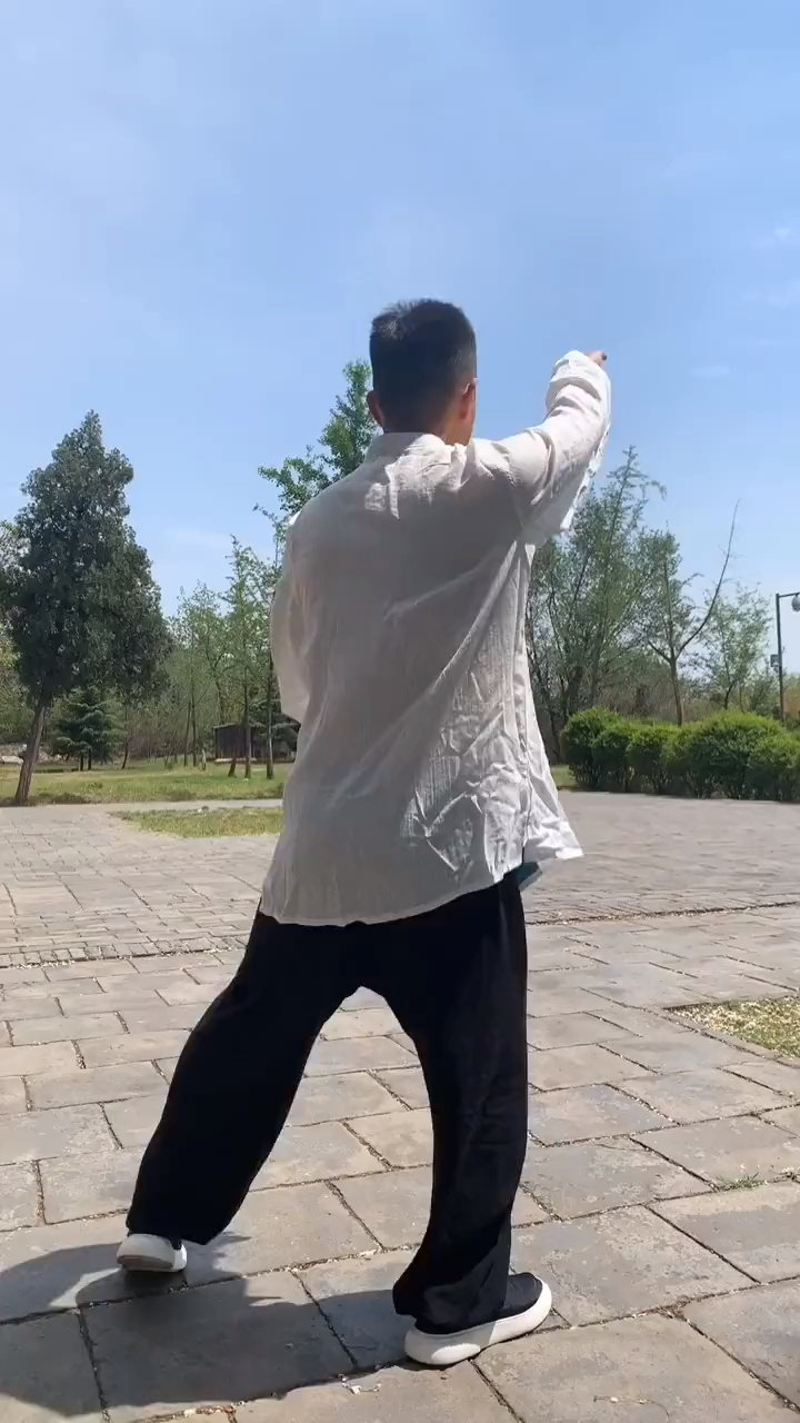 太极秘传缠丝乌龙绞柱对身法协调要求很高节节贯穿