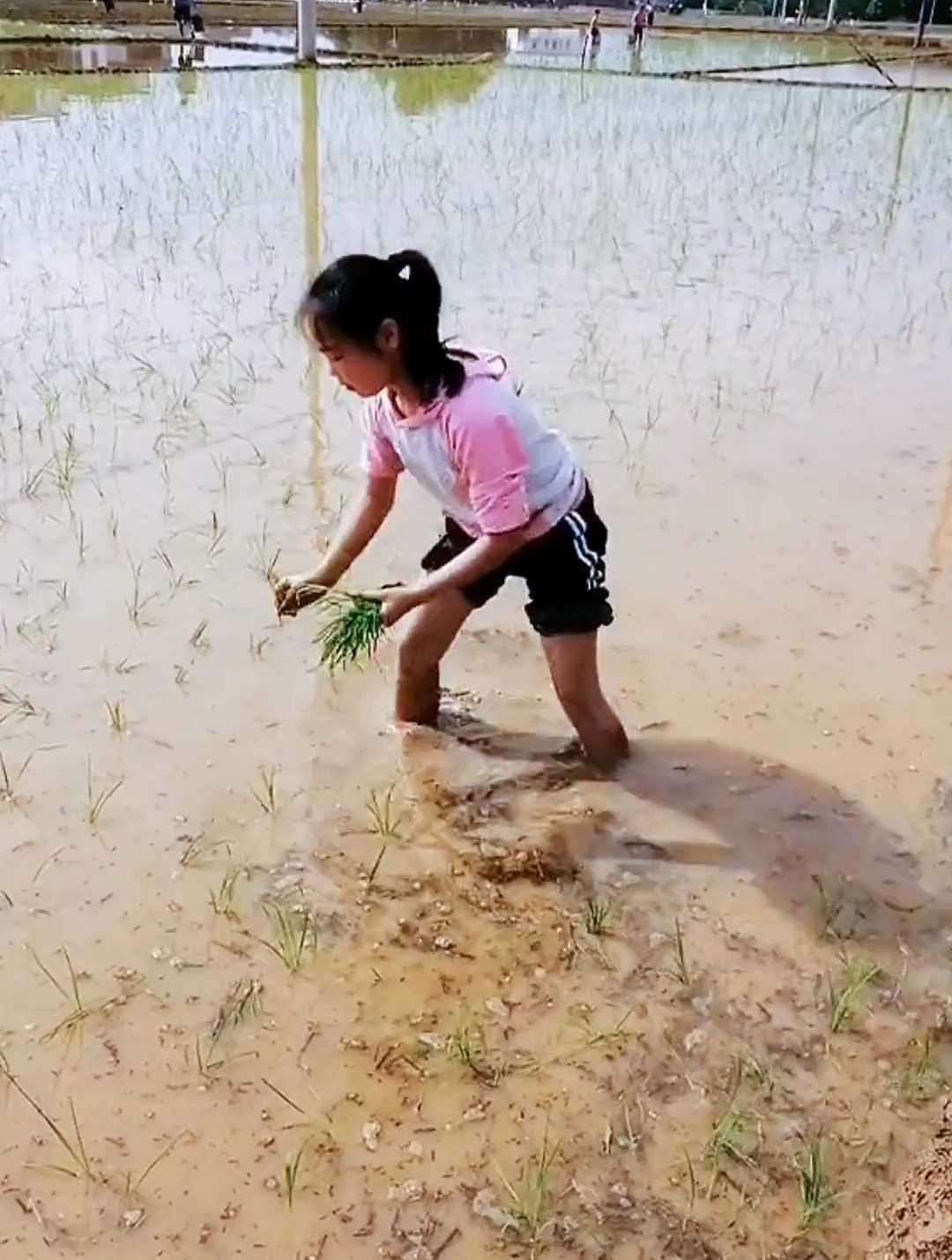 这就是乡下农村孩子的童年