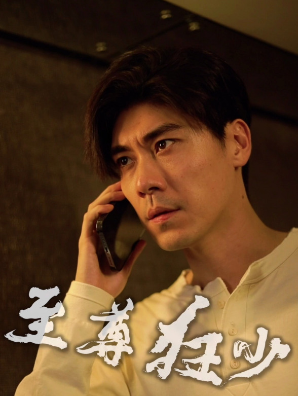 至尊狂少封面图