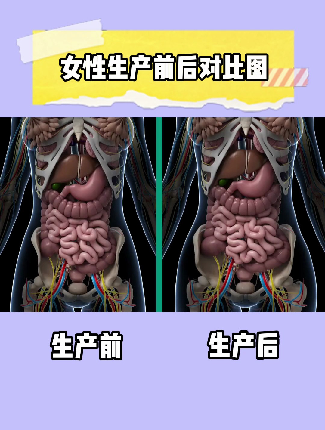 关于女性生小孩的的信息 关于女性生小孩的的信息（关于女性生孩子） 女性