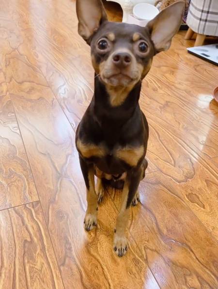 啵啵乐:有这好事你不早说,这把我吓得-度小视