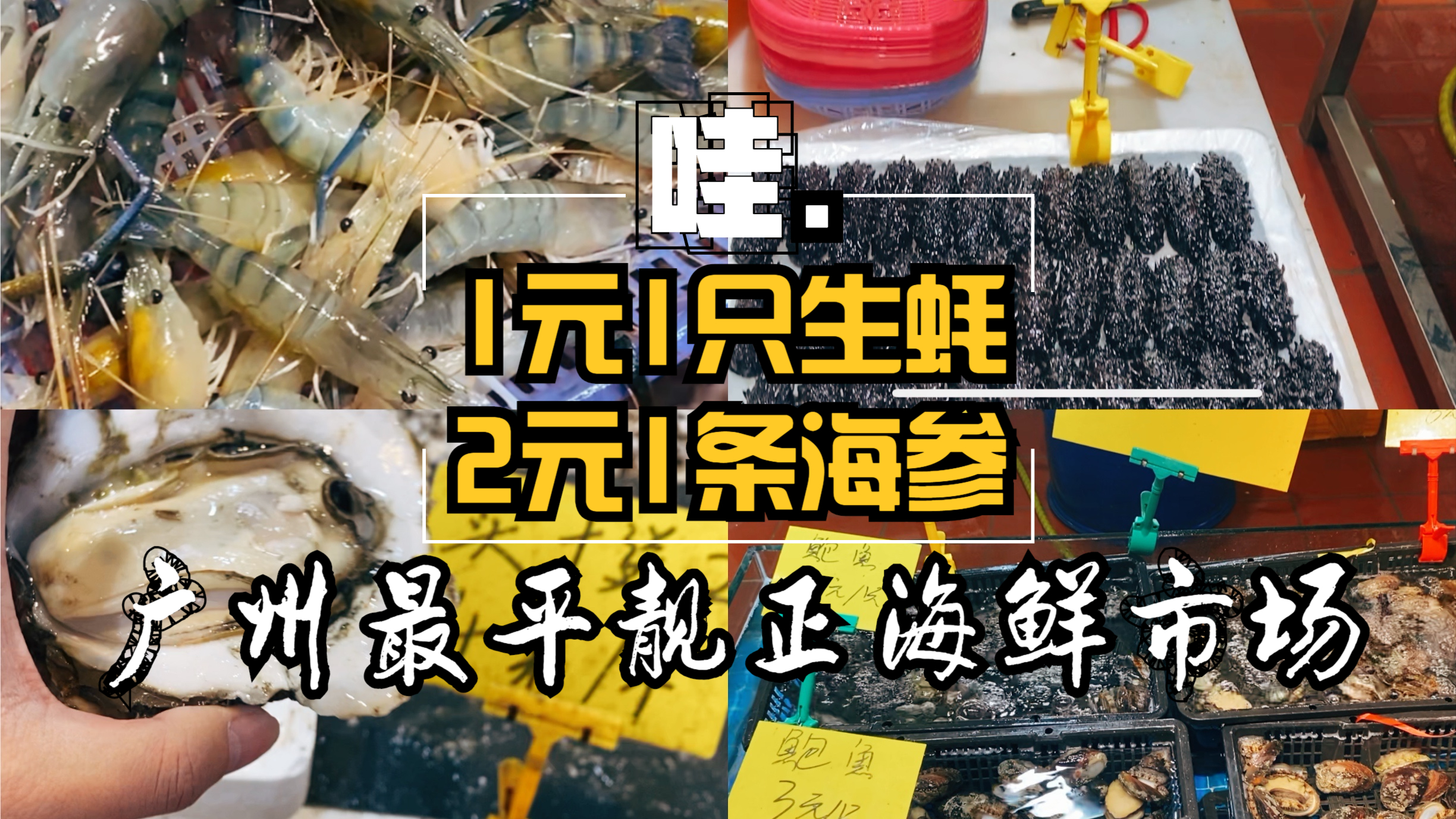 广州最便宜海鲜市场,1元1生蚝,2元1海参,各种生猛海鲜任挑任选