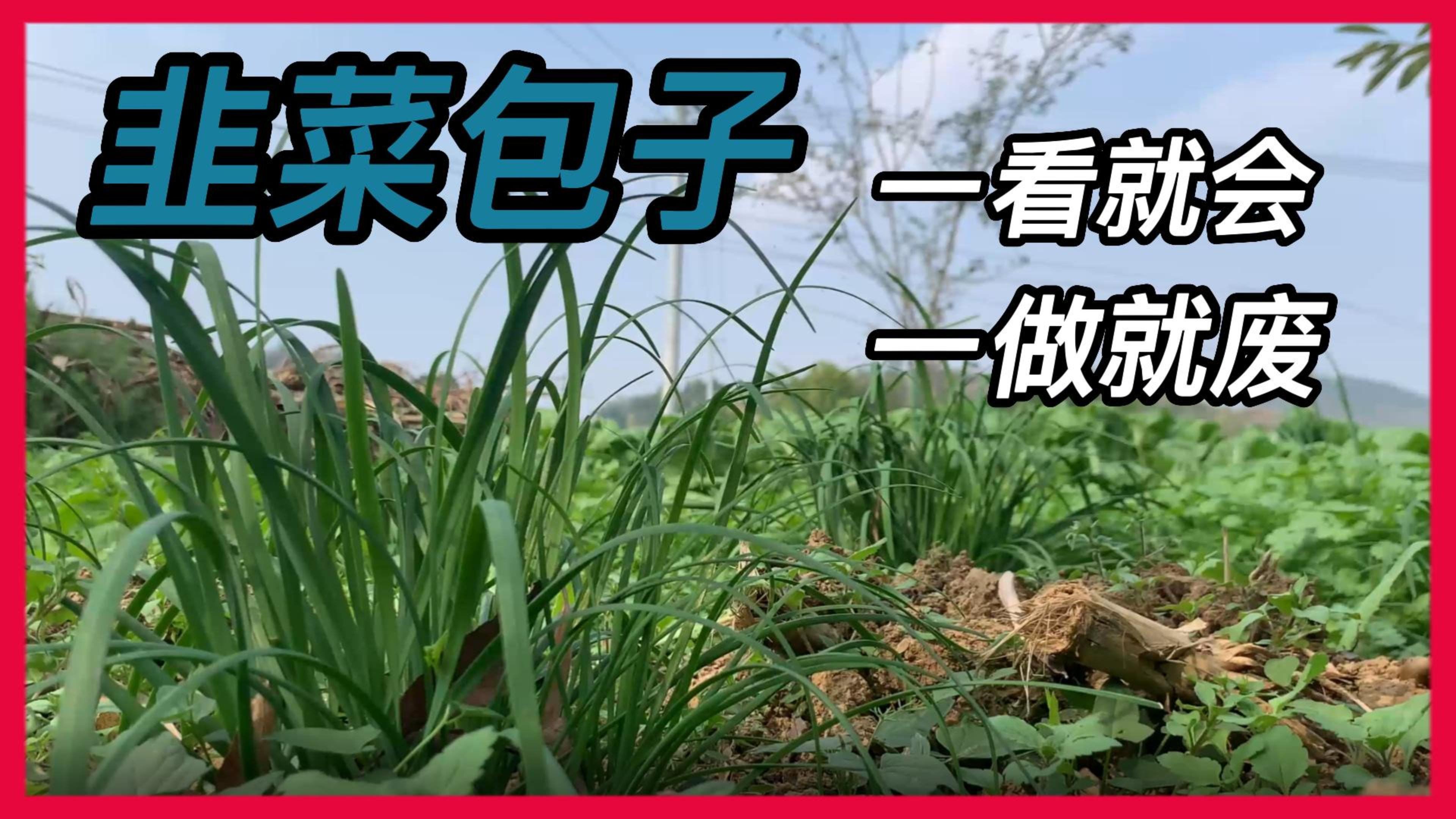 蒸包子、韭菜馅确实好吃、看起来就会、学起来就废系列