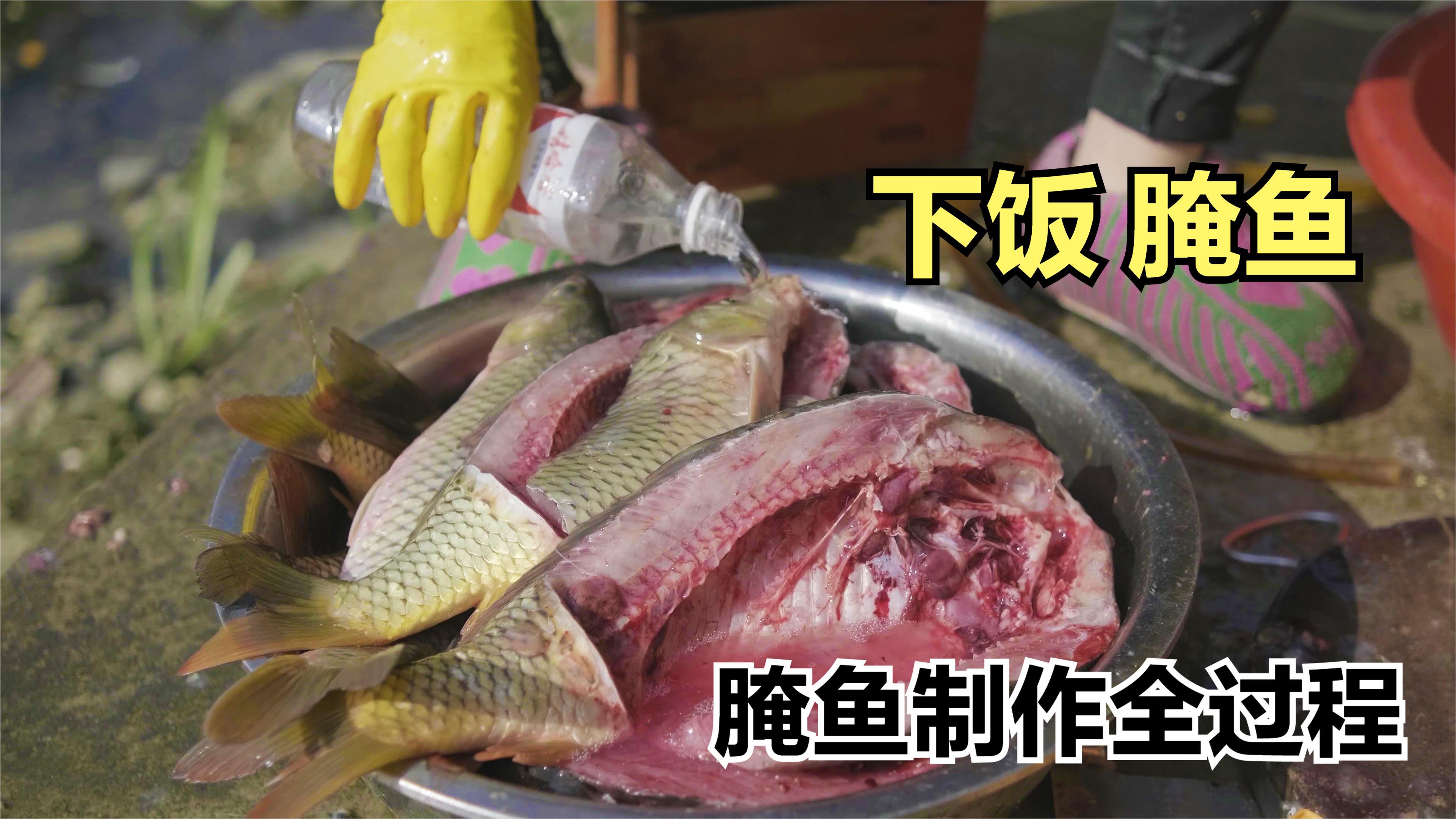 过年必备的苗族腌鱼,欣怡提前腌制了一小坛,开胃下饭,嘴馋得很