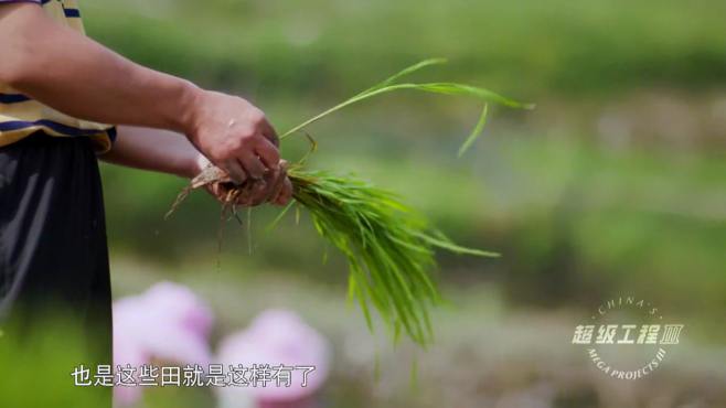 [图]超级工程：荒山都开凿了梯田，2千多米的跨度，梯田达到3千多级