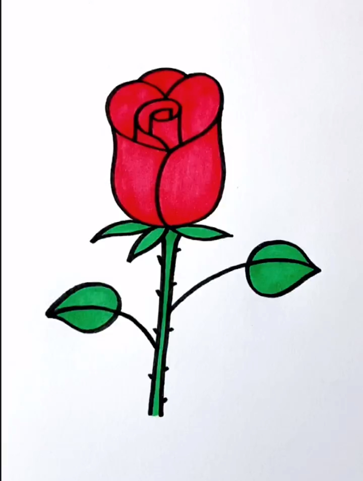 教你用爱心画一朵漂亮的玫瑰花,简笔画,画画教程