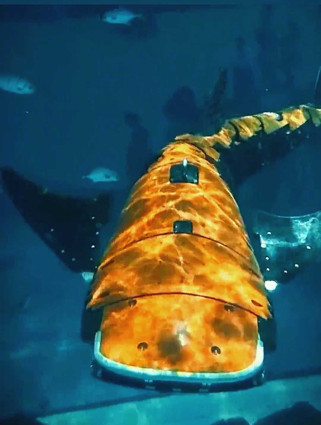 航天技术与智能仿生相结合,仿生机器鲸鲨