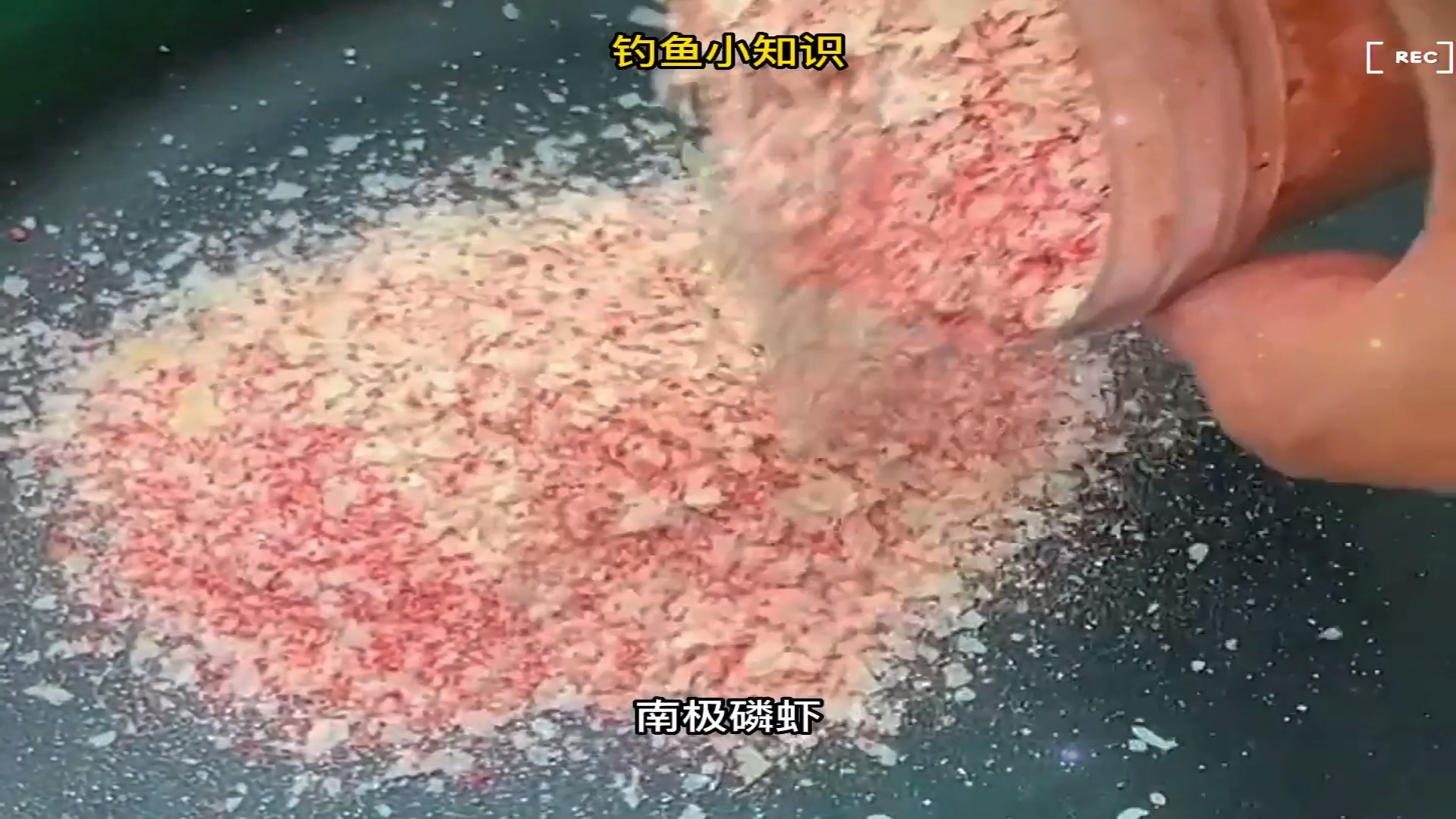 鲢鳙饵料用哪种?雾化状态很重要,选对钓鲢鳙也可以轻松爆护