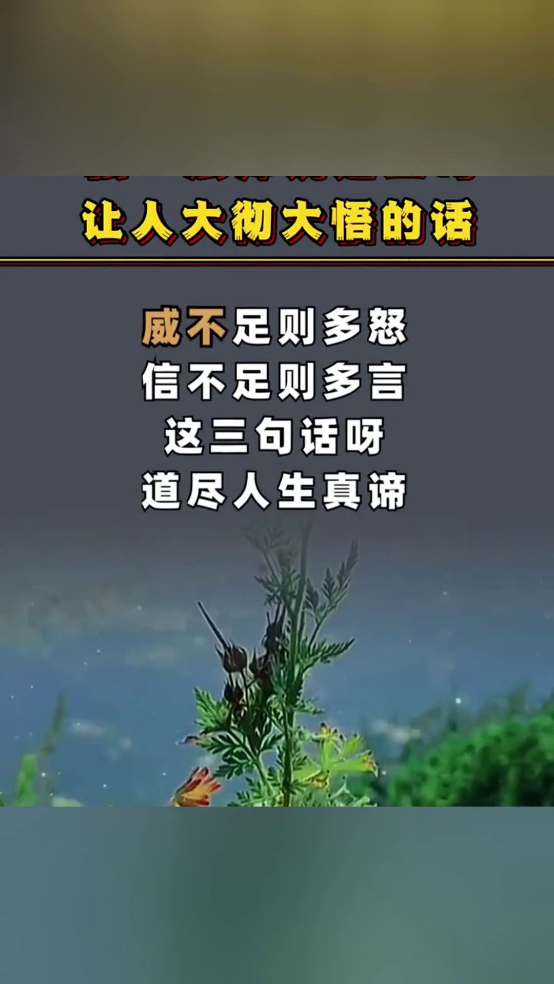 弘一法师说过三句,让人大彻大悟的话!识不足则多虑,威不足则多-度小视