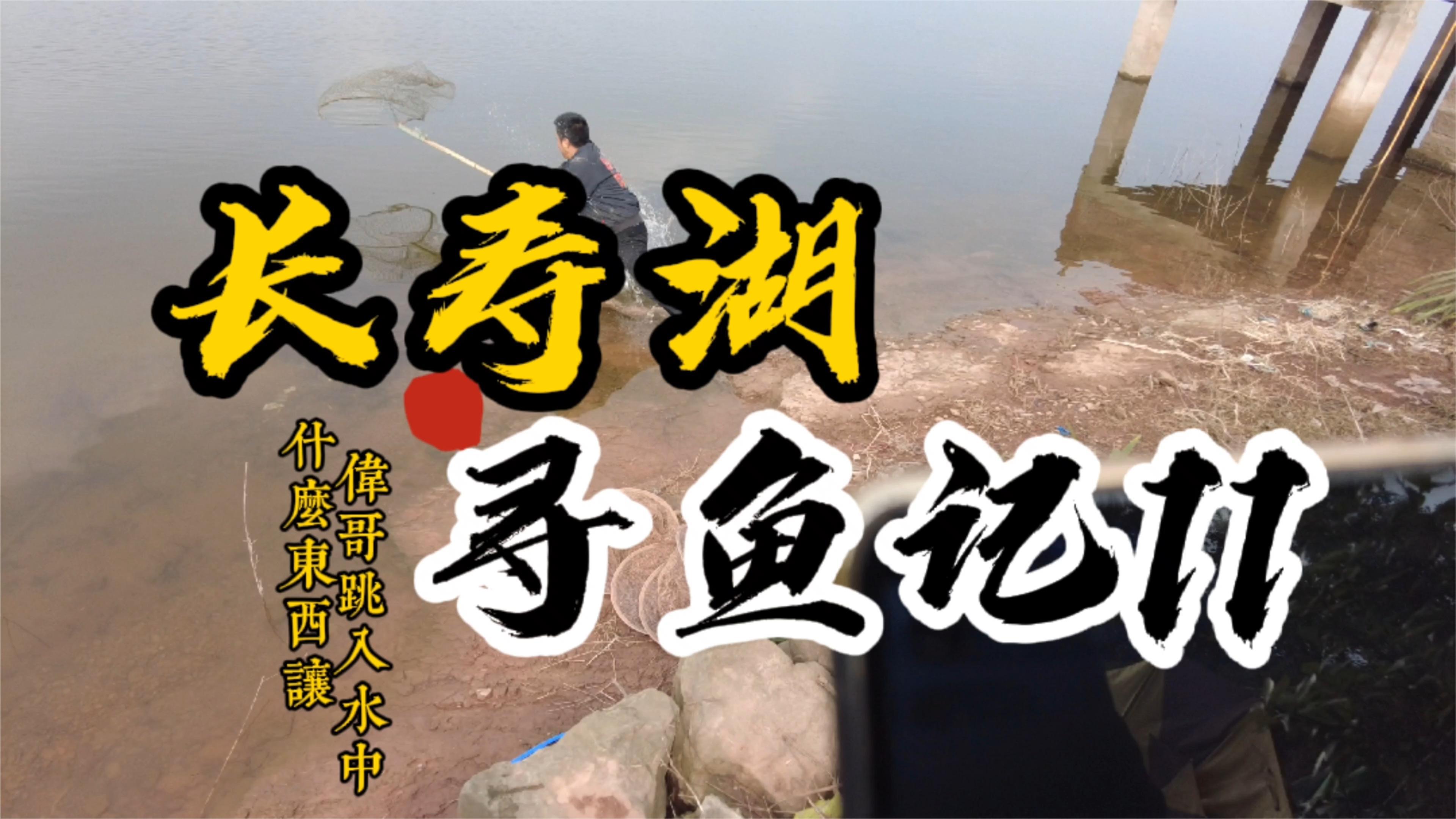 长寿湖寻鱼记:什么东西在水里,伟哥不顾一切扑向湖里