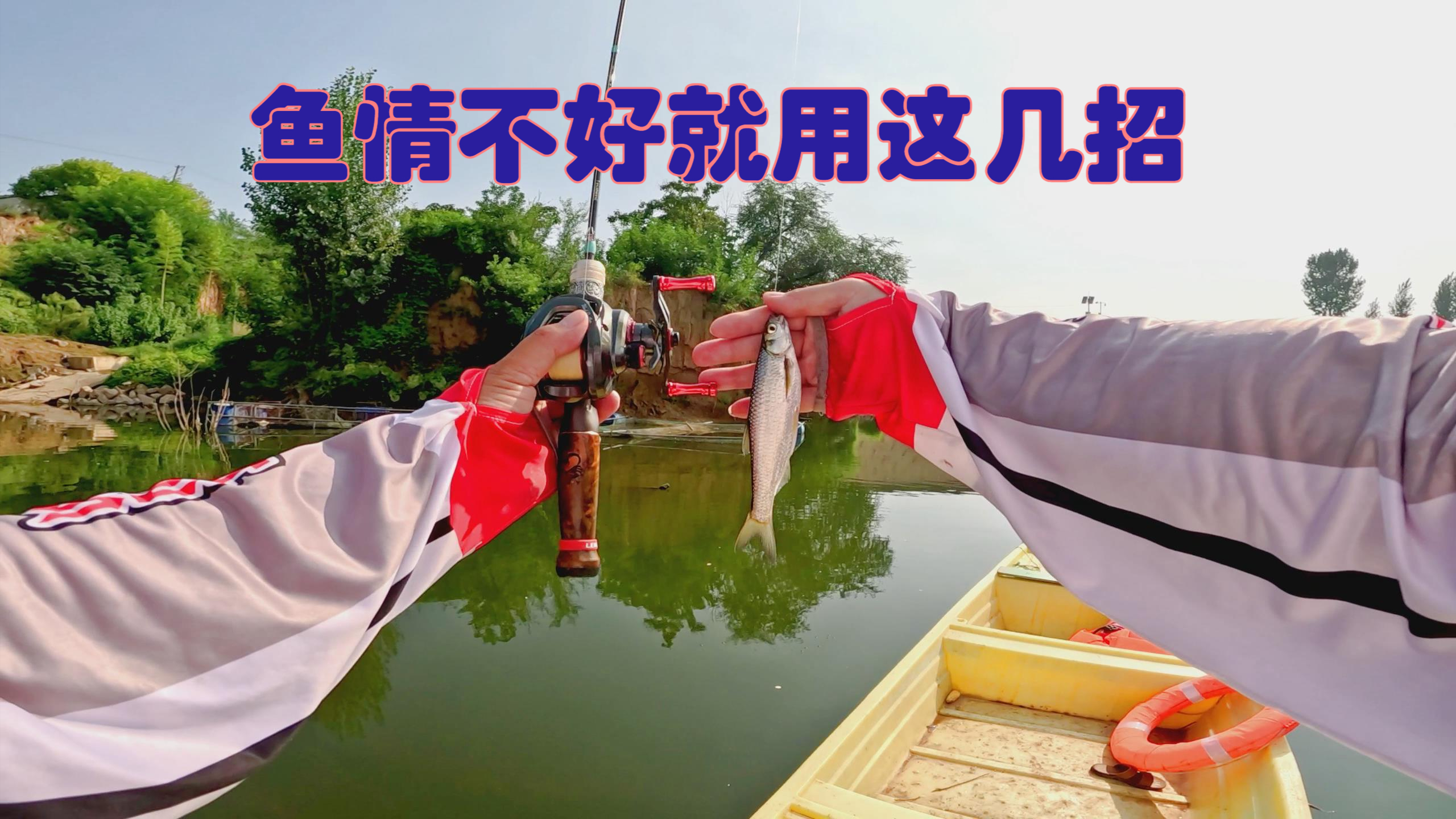 思来想去还是公开,路亚白条鱼情不好用这几招,中鱼超快还能连竿