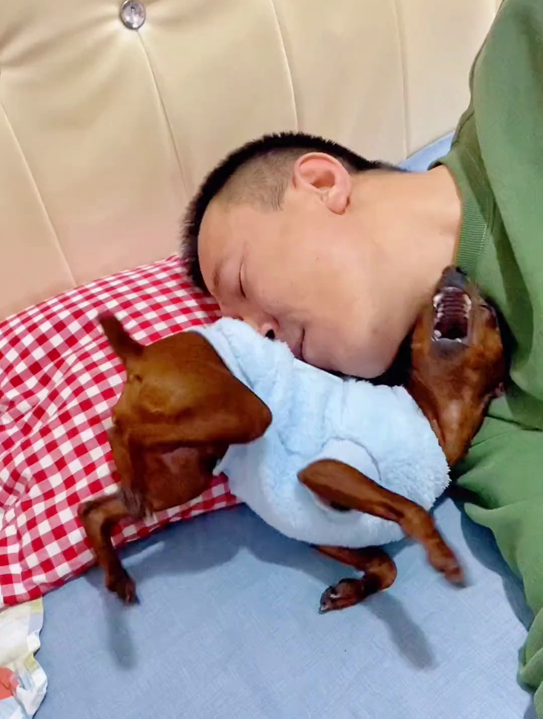 每天一起床鹿鹿和鹿粑就是这样玩耍一会下床