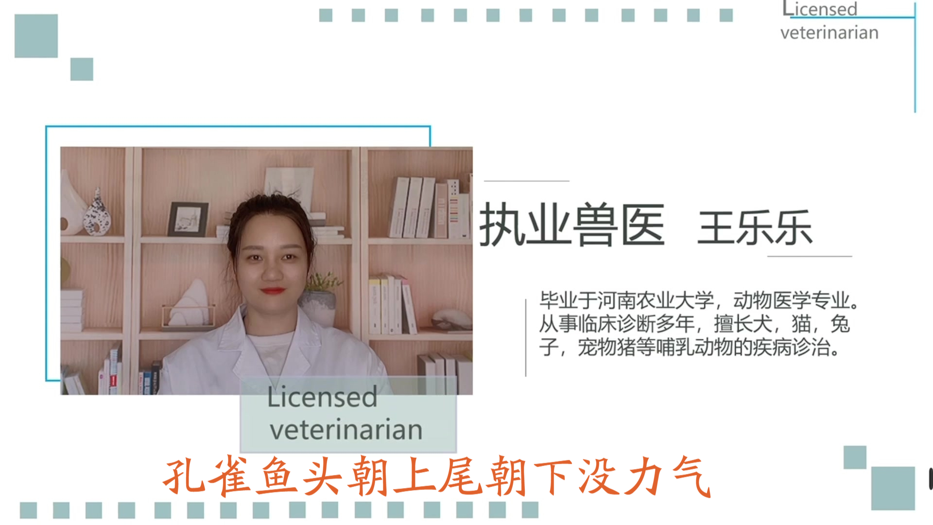 孔雀鱼头朝上尾朝下没力气