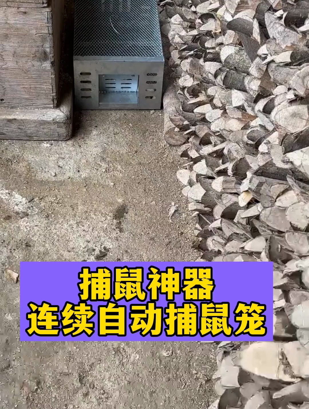 捕鼠神器,老鼠来无回 捕鼠神器 灭鼠方法 老鼠 捕鼠器-度小视